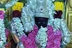 கோட்டையிருப்பு சூரமாகாளியம்மன் கோயிலில் பொங்கல் விழா