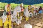 கூத்தலூரில் புரவி எடுப்பு விழா; குதிரைகள், காளைகள் வைத்து சிறப்பு பூஜை