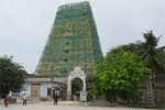 Temple Latest News