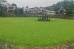 திருநீர்மலை ரங்கநாதர் கோவில் குளம் ஆகாய தாமரையால் நாசம்