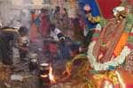 temple news
