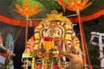 வடபழனி முருகன் கோவிலில் வைகாசி விசாக விழா; ஆட்டுக்கிடா வாகனத்தில் சுவாமி புறப்பாடு
