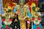 சேஷ வாகனத்தில் எமனேஸ்வரம் வரதராஜ பெருமாள் உலா