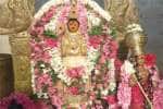 திருப்புல்லாணி பாலசுப்பிரமணிய சுவாமி கோயிலில் வைகாசி விசாக விழா