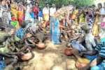 temple news