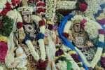 திருப்புத்தூர் திருத்தளிநாதர் கோயிலில் வைகாசி விசாக திருக்கல்யாணம்