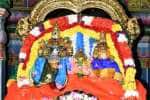 திருப்பூர் ஸ்ரீவிஸ்வேஸ்வர சுவாமி கோவிலில் 63 நாயன்மார்களுக்கு பஞ்சலோக சிலைகள்