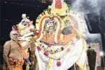 temple news