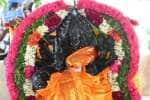 temple news