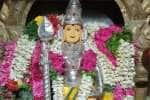 திருமலைக்கேணியில் வைகாசி விசாக விழா; சுவாமிக்கு 16 வகை அபிஷேகம்