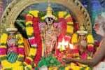 வீரட்டானேஸ்வரர் கோவிலில் வெள்ளிக்காப்பு அலங்காரத்தில் சுவாமி
