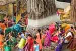 temple news
