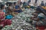 temple news