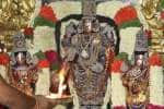 Temple Latest News