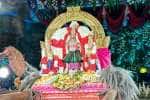 temple news