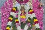 temple news