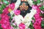 temple news