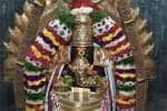 temple news