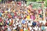 திருப்பூர் ஸ்ரீசெல்வ கணபதி கோவிலில் மஹா கும்பாபிஷேகம் கோலாகலம்