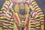 திருவண்ணாமலை அருணாசலேஸ்வரர் கோவிலில் தேய்பிறை அஷ்டமி வழிபாடு