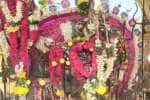 மானாமதுரை தல்லாகுளம் முனீஸ்வரர் கோயிலில் கிடா வெட்டு பூஜை