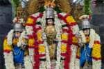 temple news