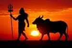 temple news