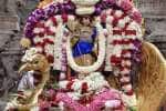 temple news