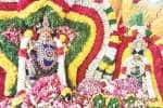 ஆனந்த தில்லை நடராஜர் பெருமானுக்கு திருக்கல்யாணம் 