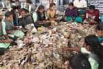 temple news