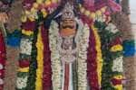 கோவில் ஆண்டு விழா; சிறப்பு அலங்காரத்தில் குளத்துக்கருப்பராயன்