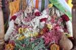 temple news