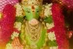 temple news