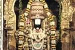 உடுமலை திருப்பதி கோவிலில் கும்பாபிஷேக ஆண்டு விழா