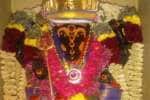 Temple Latest News