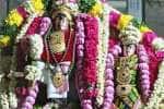 temple news
