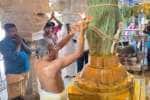 சாத்துார் வெங்கடாஜலபதி கோயிலில் ஆனித் திருவிழா கொடியேற்றம்
