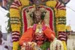 temple news