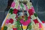 temple news