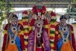 ஆரா ஆனந்த சீனிவாச பெருமாள் கோவிலில்  ஏகாதசி உற்சவம் 