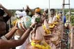 temple news