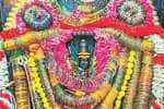 temple news