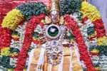 temple news