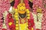ஆனி செவ்வாய்; பாலதண்டாயுதபாணி கோவிலில் முருகப்பெருமானுக்கு அபிஷேகம்