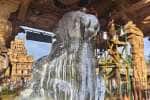 temple news