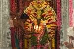 திருவண்ணாமலையில் அருணகிரிநாதருக்கு சிறப்பு அலங்காரம் மற்றும் குருபூஜை