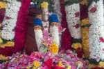 அருணகிரிநாத ஸ்வாமிகள் மகா குருபூஜை விழா