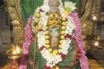 பொள்ளாச்சி கோவில்களில் சிறப்பு வழிபாடு