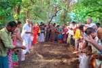 காரைக்கால் சிவலோகநாத சுவாமி கோவிலில் விதைத்தெளி உற்சவம்
