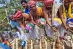 சீர்காழி காமாட்சி அம்மன் கோவிலில் கும்பாபிஷேகம் கோலாகலம்